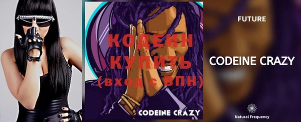 индика Гатчина