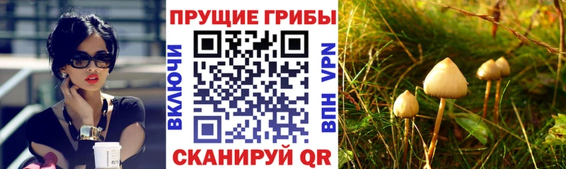 Галлюциногенные грибы ЛСД  Трубчевск 